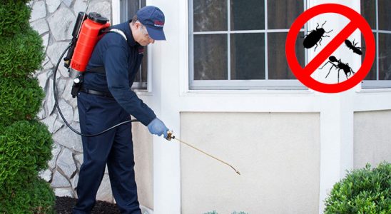 Çorum Karınca İlaçlama böcek ilaçlama ve haşere kontrolü — ilaclama-tr.com